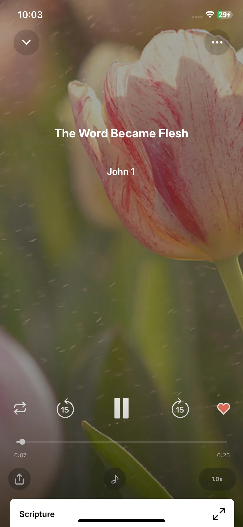 Test Image 6